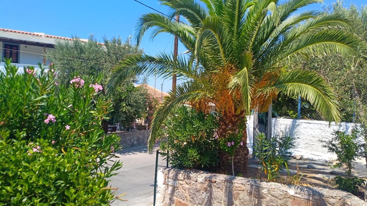 Anessis Cosmos Aparthotel Anaxos Exterior foto