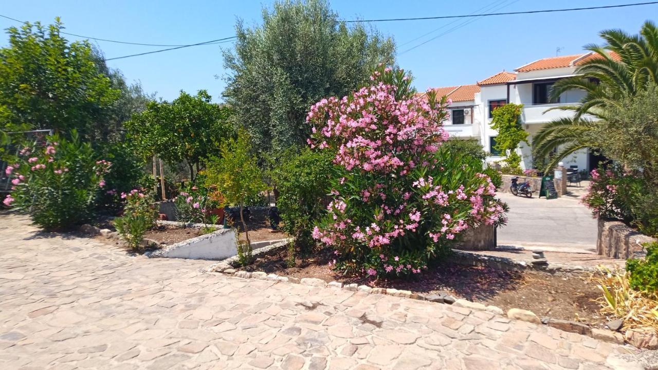 Anessis Cosmos Aparthotel Anaxos Exterior foto